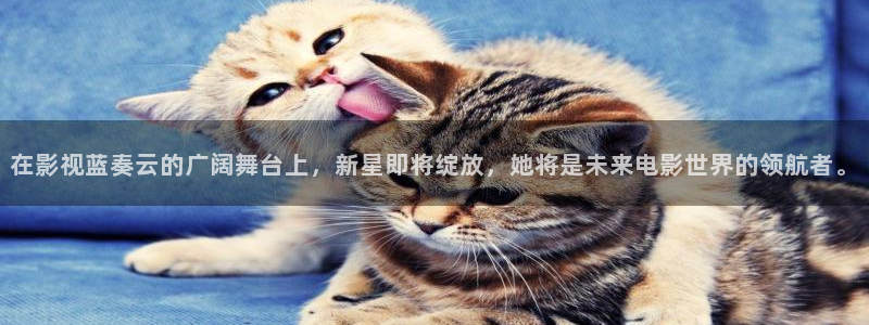 琪琪影视大全：在影视蓝奏云的广阔舞台上，新星即将绽放，她将是未来电影世界的领航者。