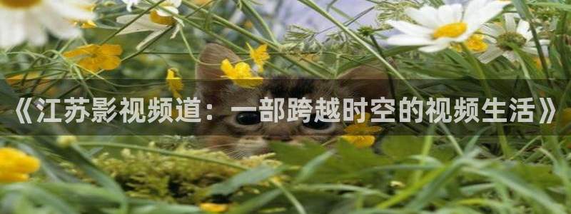 色琪琪影院在线：《江苏影视频道：一部跨越时空的视频生活》