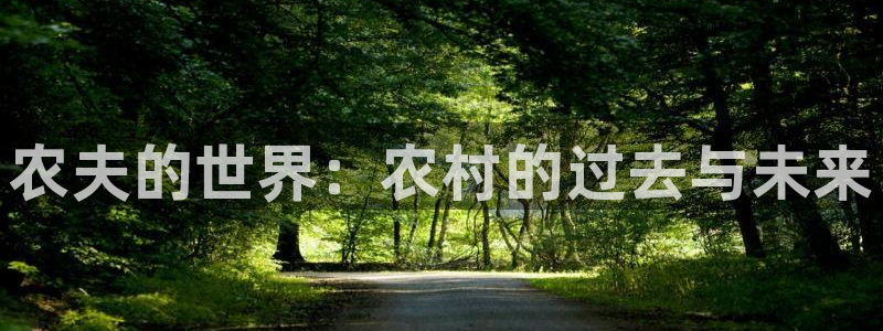 琪琪影院亚洲：农夫的世界：农村的过去与未来