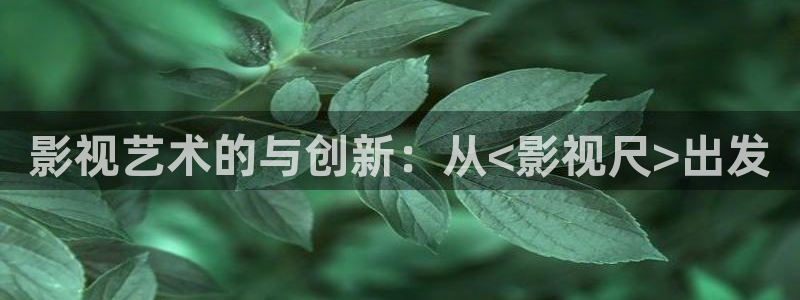 琪琪论理电影：影视艺术的与创新：从<影视尺>出发