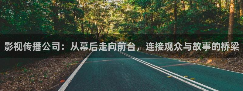 琪琪电影院免费观看电视剧高清：影视传播公司：从幕后走向前台，连接观众与故事的桥梁