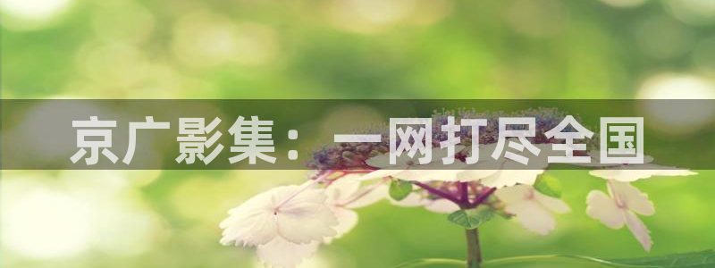 琪琪第一影院：京广影集：一网打尽全国