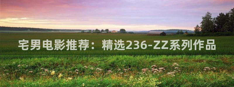 琪琪影视短剧：宅男电影推荐：精选236-ZZ系列作品